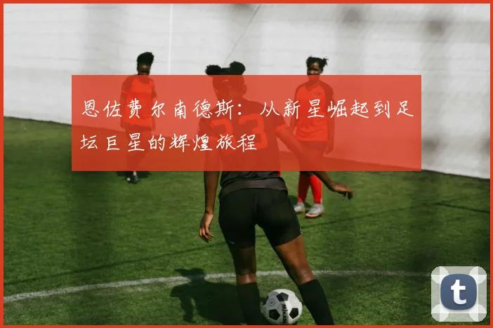 恩佐费尔南德斯：从新星崛起到足坛巨星的辉煌旅程