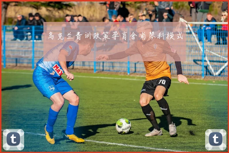 乌克兰青训政策孕育舍甫琴科模式
