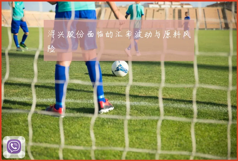 浔兴股份面临的汇率波动与原料风险