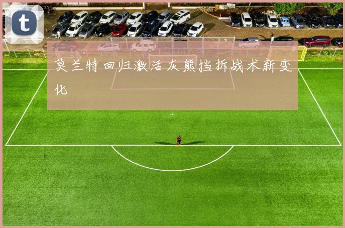 莫兰特回归激活灰熊挡拆战术新变化