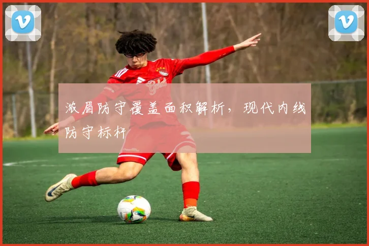 浓眉防守覆盖面积解析，现代内线防守标杆